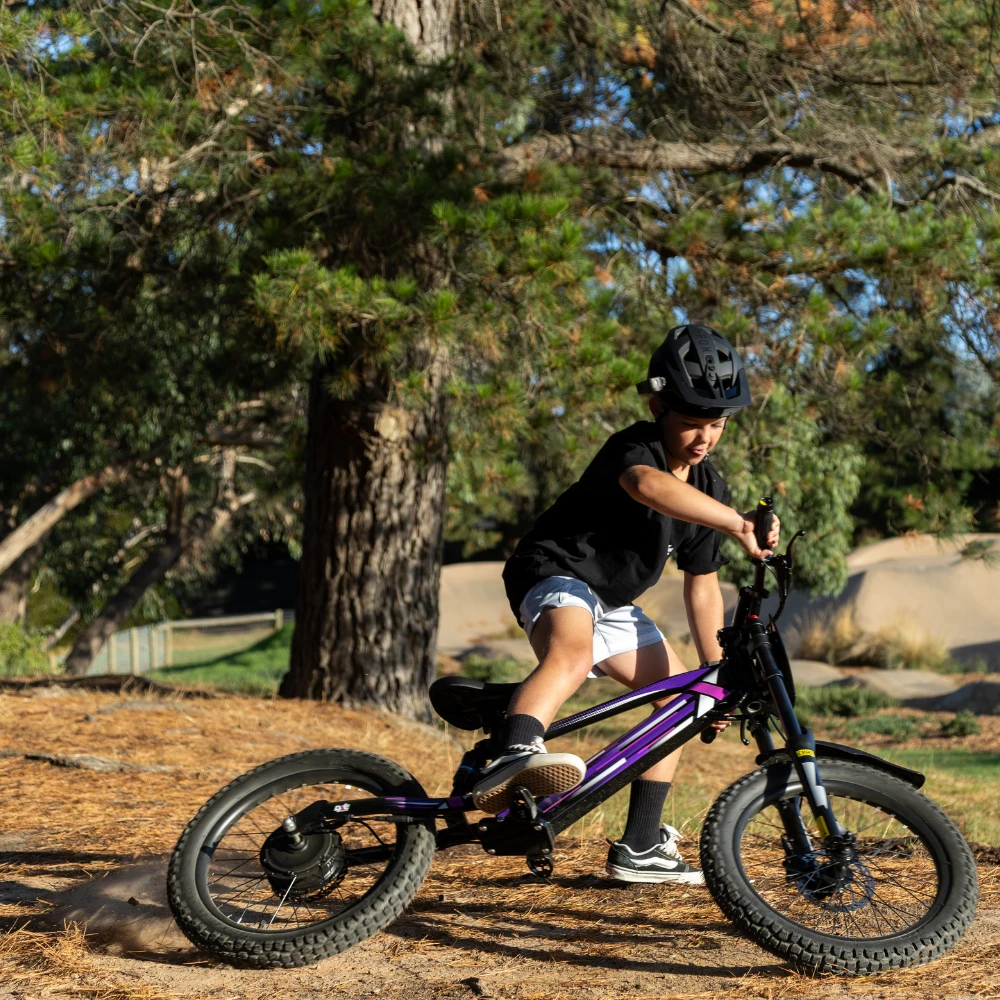 DXE Rider in Action